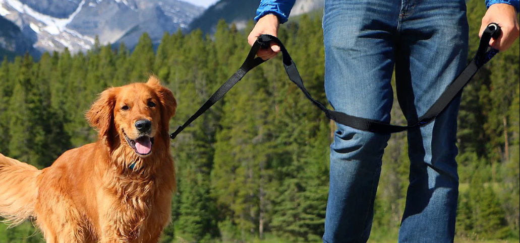 Man walks dog with leash