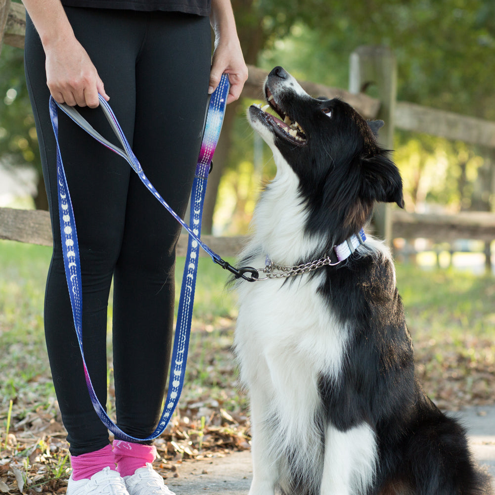 nhance your dog walking experience with the Leashboss Double Handle Dog Leash from the Pattern Collection. This 6Ft Reflective Dog Leash is ideal for large or medium dogs that pull. Featuring two padded handles, it ensures comfort and control, making walks safer and more enjoyable. Upgrade your pet gear today.