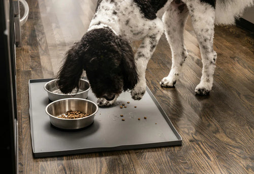 Splash_Mats_Lifestyle1.webp__PID:cbc3dd34-e225-4982-9e9f-e339479f4a7d