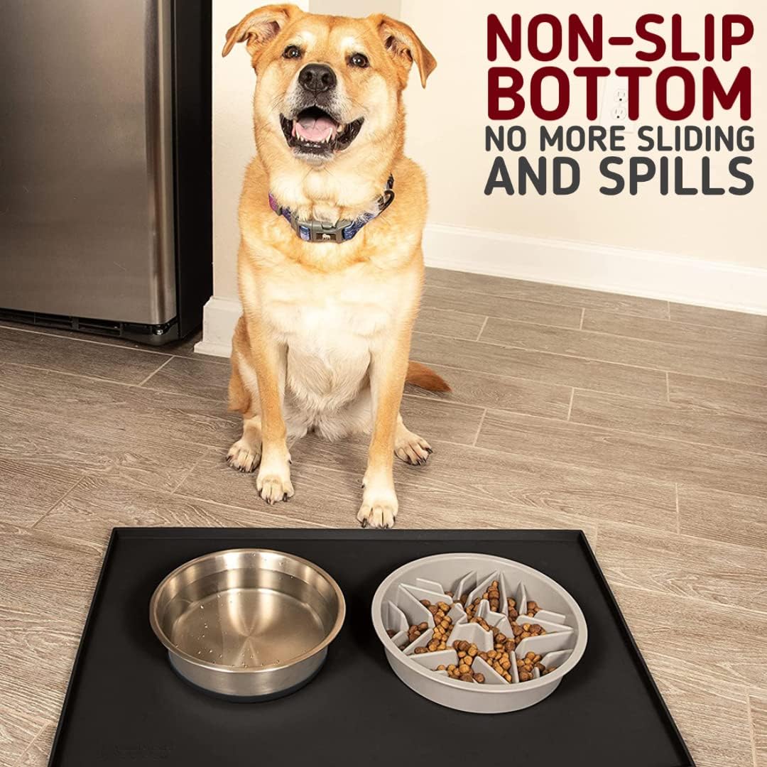 Stainless Steel Dog Bowl with Silicone Base