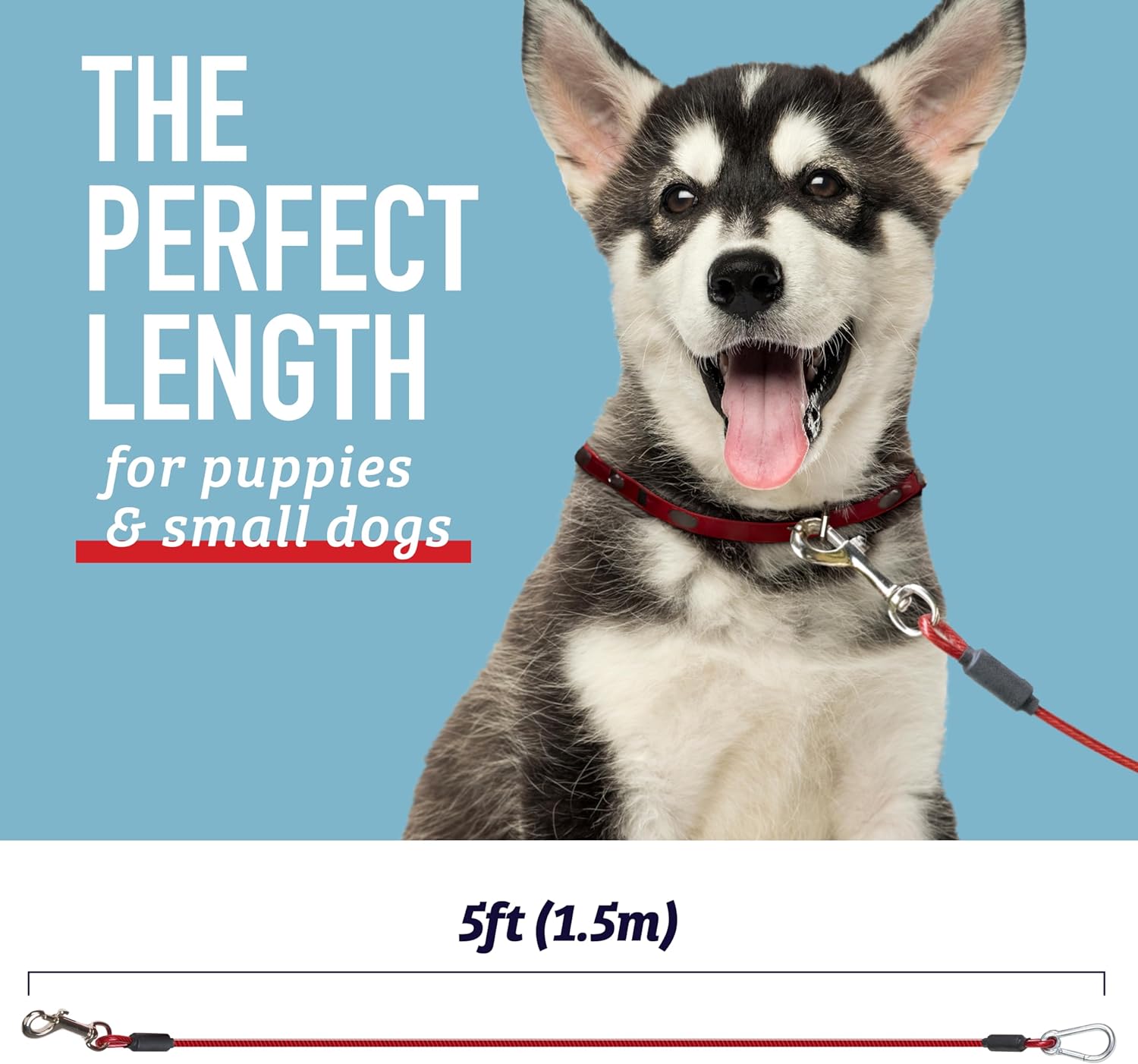 Discover a reliable 5-foot training tie-out cable, perfect for controlled outdoor sessions with your pet. This durable and weather-resistant dog leash ensures secure restraint, fostering effective training. Ideal for obedience drills, the high-quality design offers peace of mind. Elevate your pet training experience with this sturdy 5-foot tie-out cable for dogs.