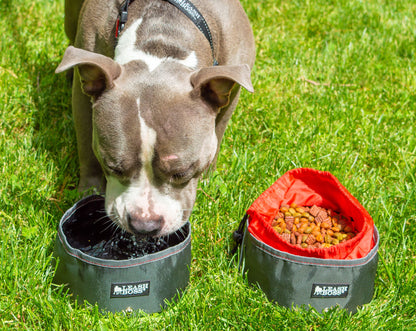 Explore our Collapsible Dog Bowl Set, featuring 2x Large Food &amp; Water Bowls designed for convenient travel. Portable and durable pet essentials for on-the-go adventures. Perfect for active lifestyles, ensuring your furry friend stays hydrated and nourished wherever the journey takes you. Ideal travel dog bowls for outdoor enthusiasts..
