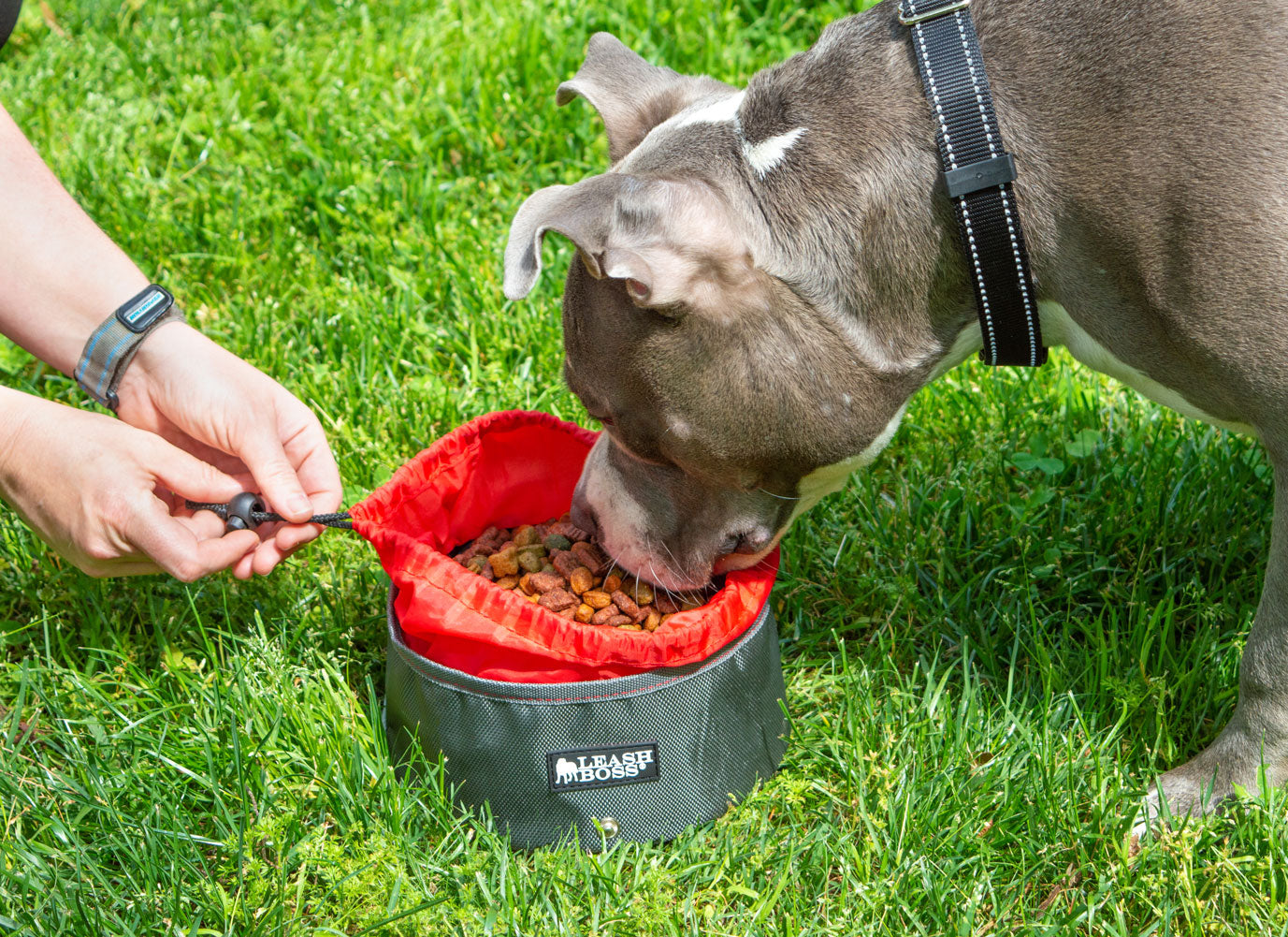 Explore our Collapsible Dog Bowl Set, featuring 2x Large Food &amp; Water Bowls designed for convenient travel. Portable and durable pet essentials for on-the-go adventures. Perfect for active lifestyles, ensuring your furry friend stays hydrated and nourished wherever the journey takes you. Ideal travel dog bowls for outdoor enthusiasts.