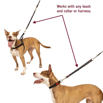 Shock absorbing lead extender works with all leashes and harnesses.