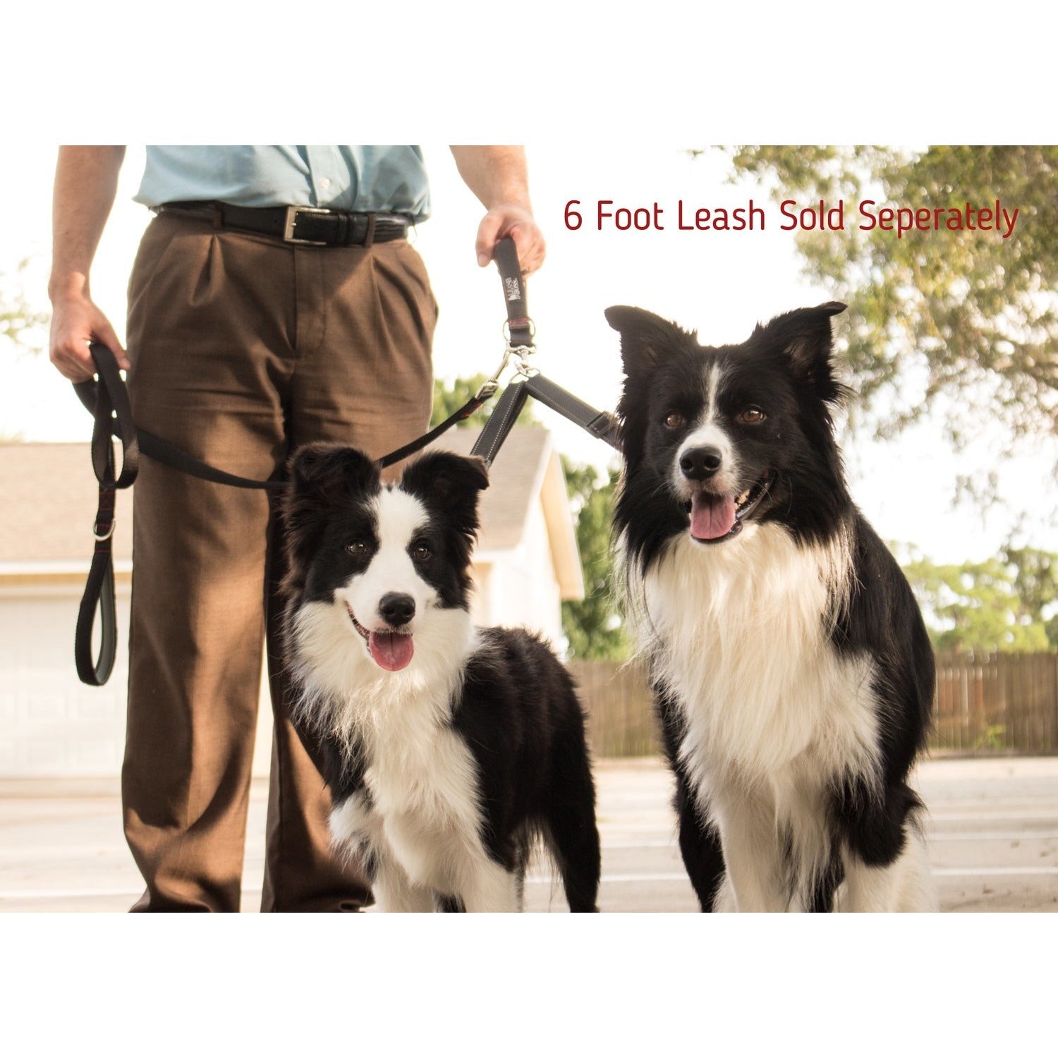 Enhance dog walks with a Two Dog Leash Coupler and Quick Grab 12 Inch Short Lead. This durable coupler allows you to walk two dogs simultaneously, while the 12-inch short lead with a padded handle provides control and comfort. Elevate your canine adventures with this convenient and stylish dog walking accessory.