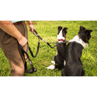 Enhance dog walks with a Two Dog Leash Coupler and Quick Grab 12 Inch Short Lead. This durable coupler allows you to walk two dogs simultaneously, while the 12-inch short lead with a padded handle provides control and comfort. Elevate your canine adventures with this convenient and stylish dog walking accessory.