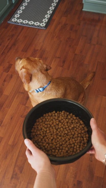 Extra Large Dog Bowl