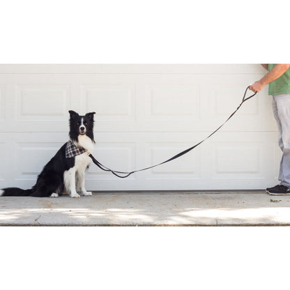 Leashboss 3X - Two Handle Dog Leash with Extra Traffic Handle - Heavy Duty Double Grip