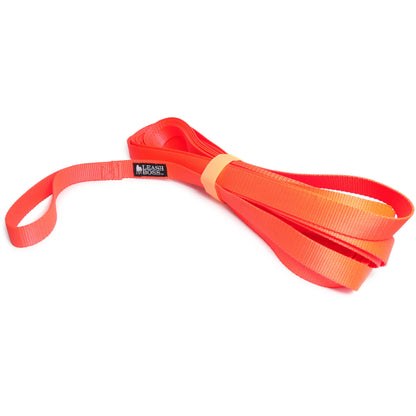 Long Trainer - 30 Foot - 1 Inch Nylon Long Dog Training Leash with Storage Strap