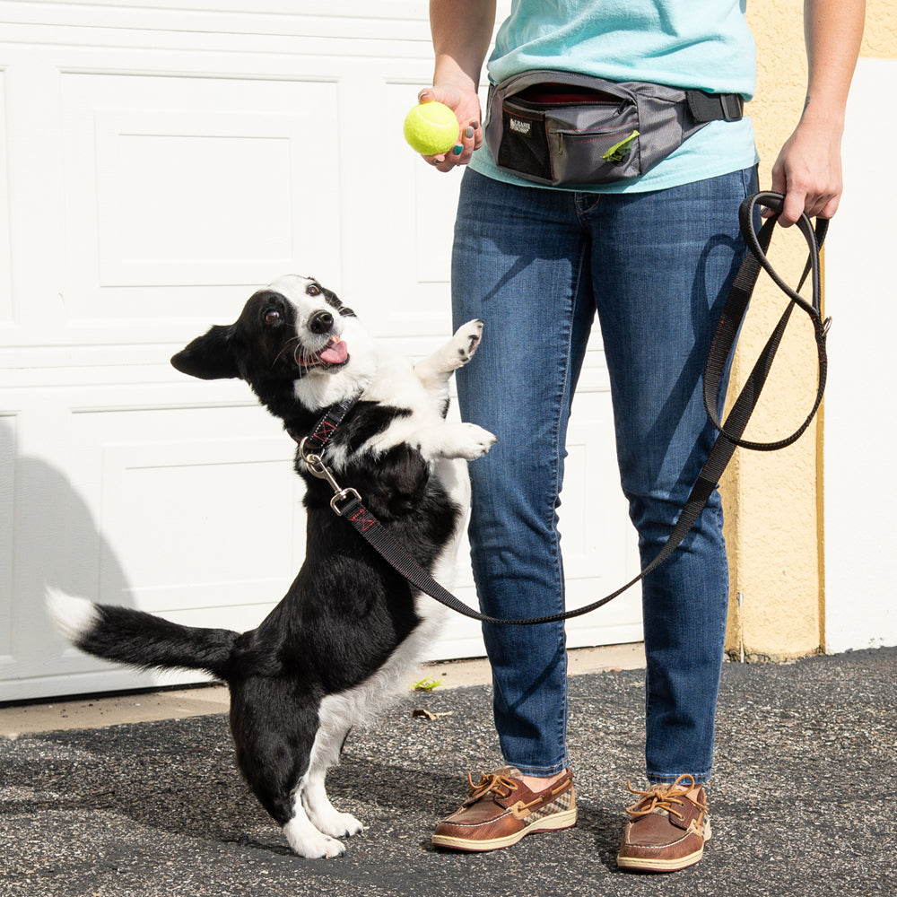 Heavy Duty Double Thick Dog Leash with Padded Handle - 6 Foot - HD Pro