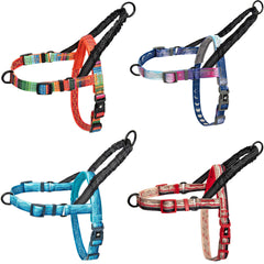 Patterned Harness